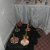 KIF_3057_1206767998